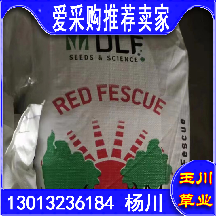 万寿菊花籽 校园美化环境 高尔夫果岭草坪种子 高中绿化 万寿菊花籽 校园美化环境 高尔夫果岭草坪种子 高中绿化