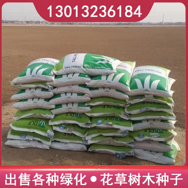 【仁泰】出售美国红枫种子景区网红打卡木棉树籽意大利生菜 【仁泰】出售美国红枫种子景区网红打卡木棉树籽意大利生菜