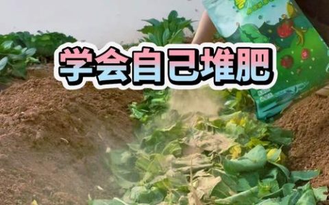 菜地板结用什么方法疏松土质？5种科学改良方案