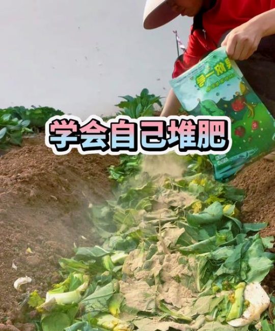 菜地板结用什么方法疏松土质？5种科学改良方案