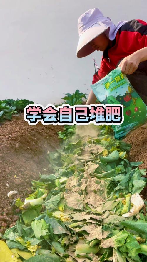 菜地板结用什么方法疏松土质?5种科学改良方案 菜地板结用什么方法疏松土质?5种科学改良方案