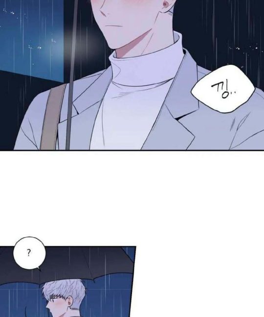 冬后樱花树养护指南：如何确保樱花在春天完美绽放