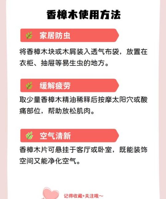 香樟树三个主要功效及安全使用指南