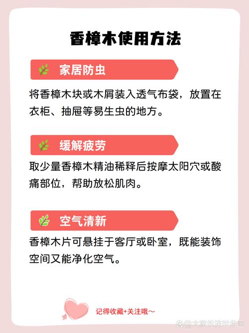 香樟树三个主要功效及安全使用指南 香樟树三个主要功效及安全使用指南