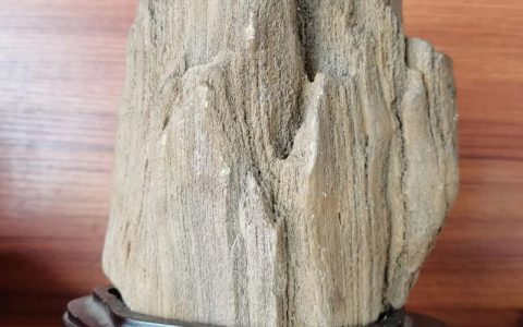 树木化石（硅化木）价格一般是多少？规格、产地与运输影响报价