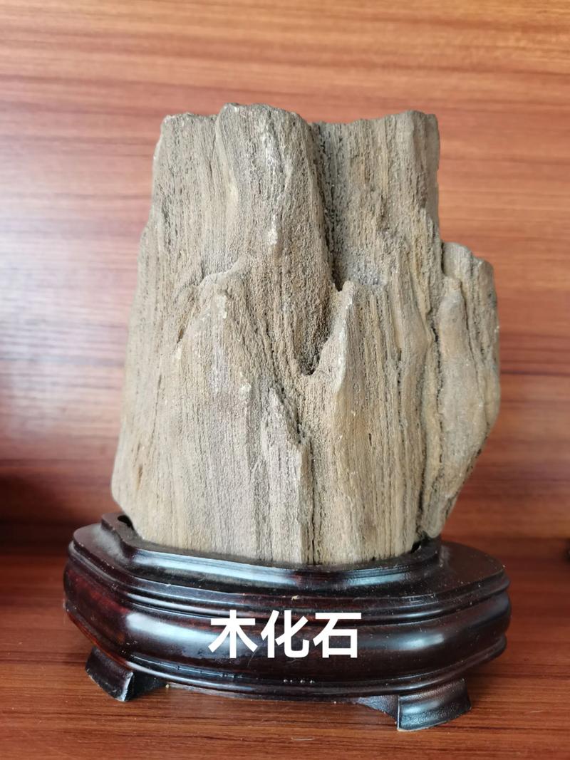 树木化石（硅化木）价格一般是多少？规格、产地与运输影响报价
