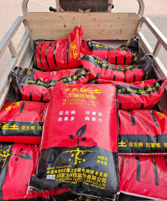 枣树最好的肥料第一名是什么？2026年科学施肥全攻略