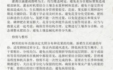 桃树种植方法与管理技术：提高成活率的关键步骤