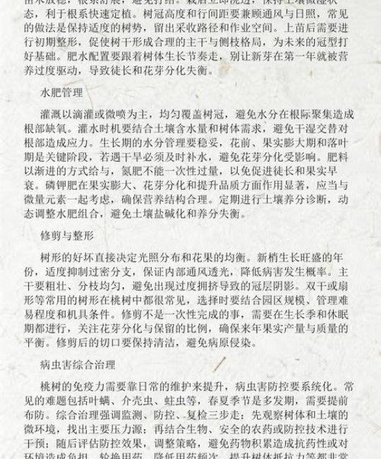 桃树种植方法与管理技术：提高成活率的关键步骤