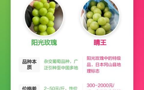 晴王葡萄和阳光玫瑰葡萄的区别，哪个更好吃？