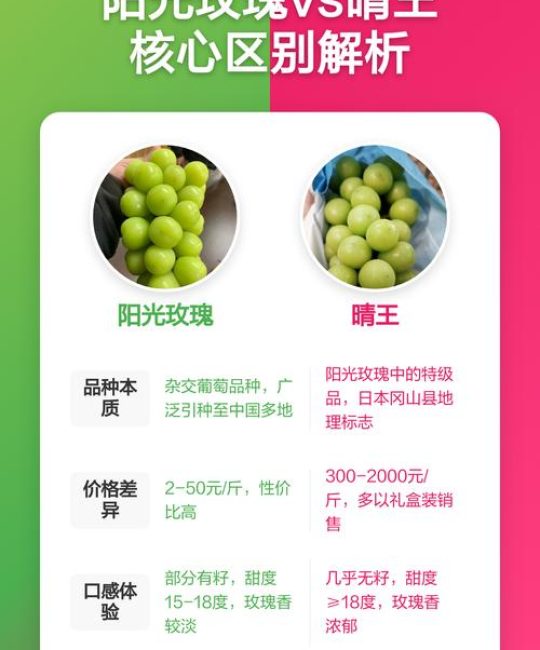 晴王葡萄和阳光玫瑰葡萄的区别，哪个更好吃？
