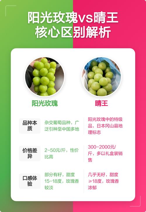 晴王葡萄和阳光玫瑰葡萄的区别，哪个更好吃？