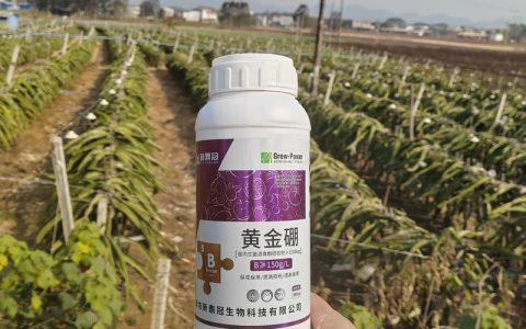 生根壮苗的叶面肥怎么用？5种高效配方与正确使用方法