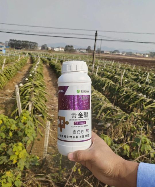 生根壮苗的叶面肥怎么用？5种高效配方与正确使用方法