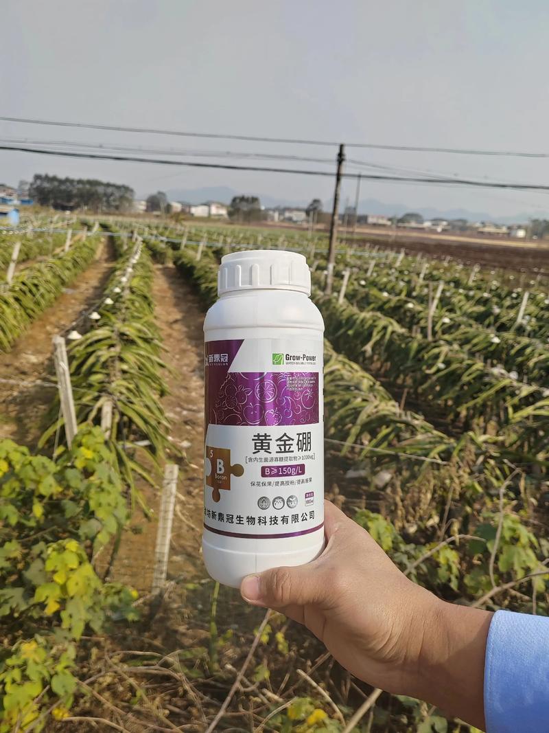 生根壮苗的叶面肥怎么用？5种高效配方与正确使用方法