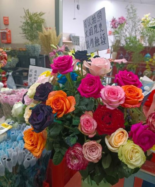 哪里批发鲜花最便宜：专业采购渠道分析与避坑指南
