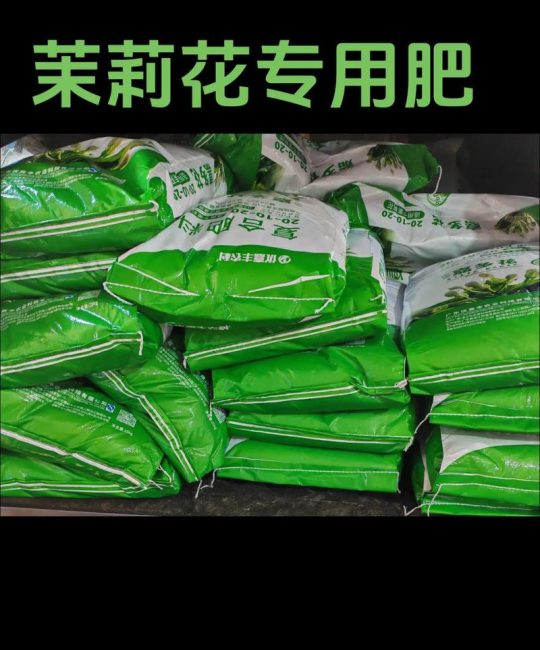茉莉花怎么养才开花多？施肥与养护全攻略
