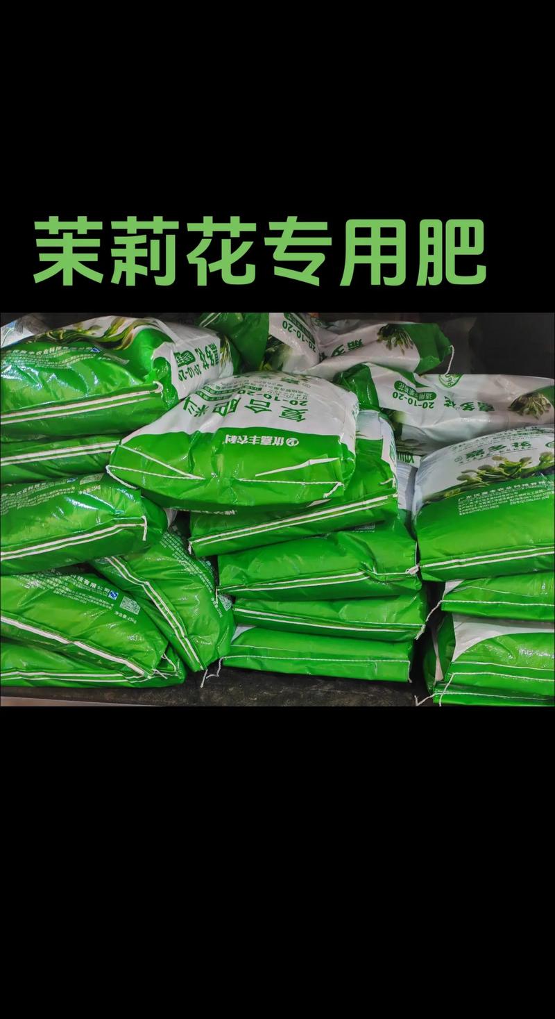 茉莉花怎么养才开花多?施肥与养护全攻略 茉莉花怎么养才开花多?施肥与养护全攻略