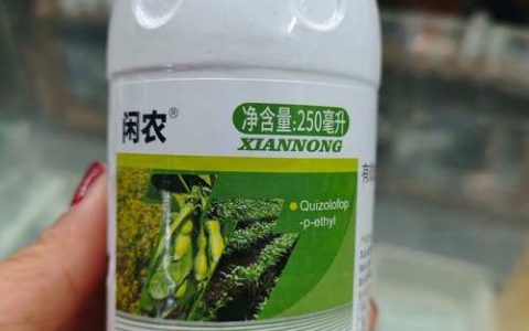 尖叶草专用除草剂：高效防治指南与安全用药方案