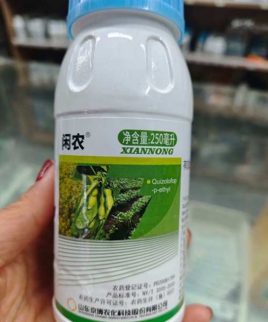 尖叶草专用除草剂：高效防治指南与安全用药方案