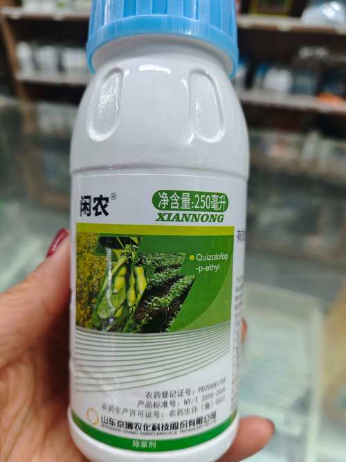 尖叶草专用除草剂：高效防治指南与安全用药方案