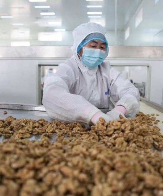 生核桃怎么加工成熟核桃：从采摘到干燥的全流程指南