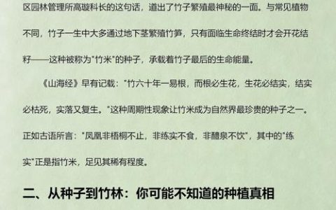 竹子种子能种出竹子吗？家庭种子种植与分株技术指南