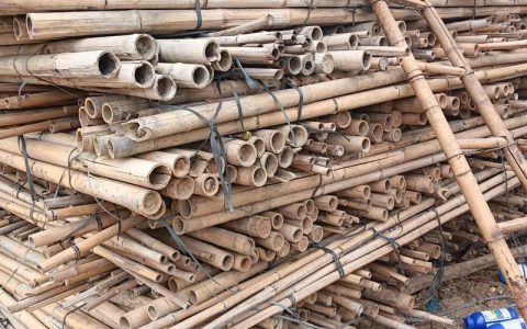 竹子批发市场地址在哪里？全国主要产区与供应商筛选全攻略