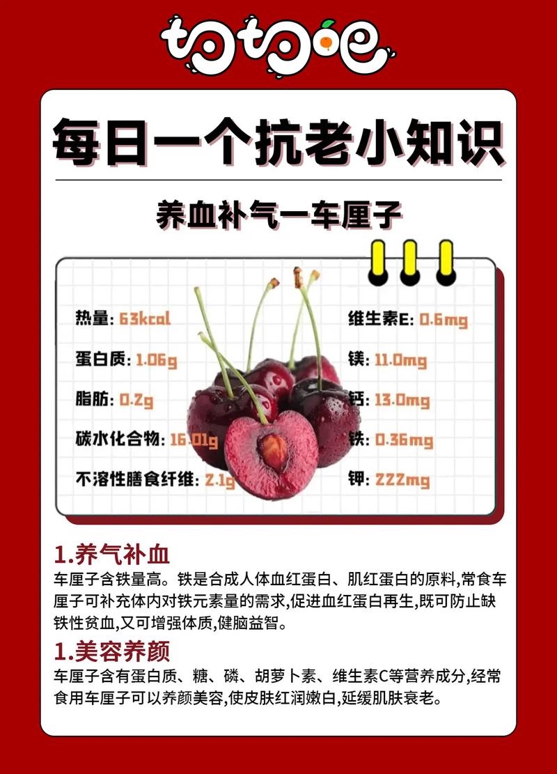 车厘子种植全指南:最佳时间与高成活率操作规程 四、 栽植深度控制