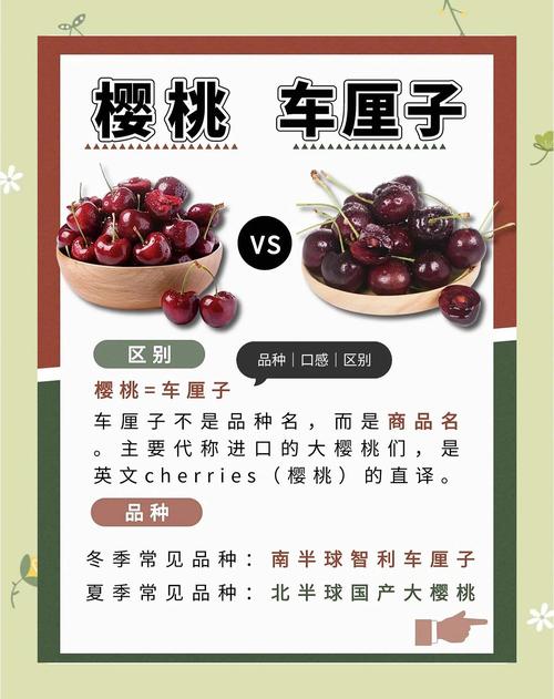 车厘子种植全指南:最佳时间与高成活率操作规程 五、 浇定根水实操
