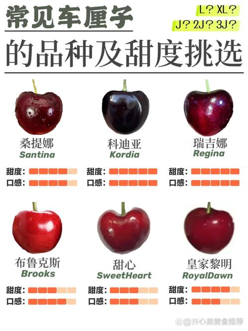车厘子种植全指南:最佳时间与高成活率操作规程 七、 成活注意事项