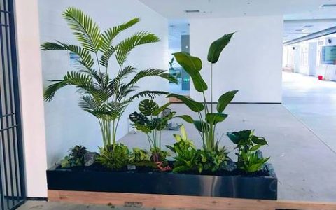 仿真绿植批发市场选购指南：如何识别优质供应商与规避劣质货源