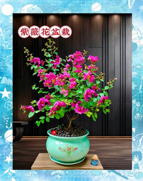 总结