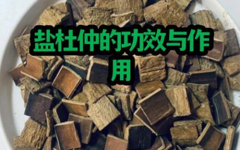 杜仲和盐杜仲的功效区别