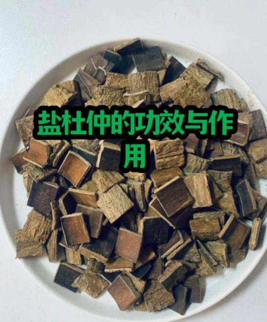 杜仲和盐杜仲的功效区别