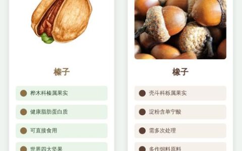 橡子和榛子的区别：6个维度深度对比与选购指南