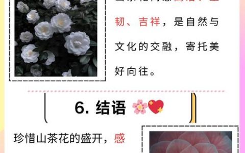 山茶花几月份开花？山茶花花期规律与四季养护全攻略