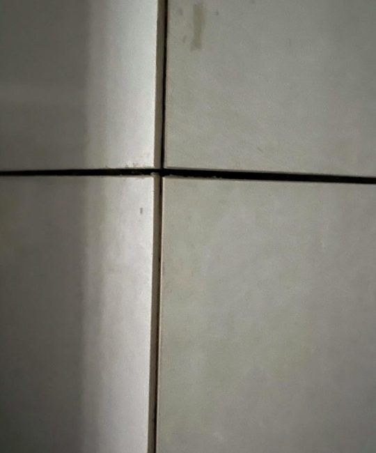 海棠花是什么样子？海棠花图片及形态特征详解