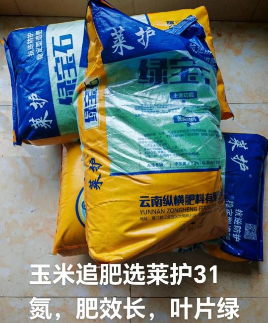 家庭菜园玉米养护全指南：从浇水到施肥的实用技巧