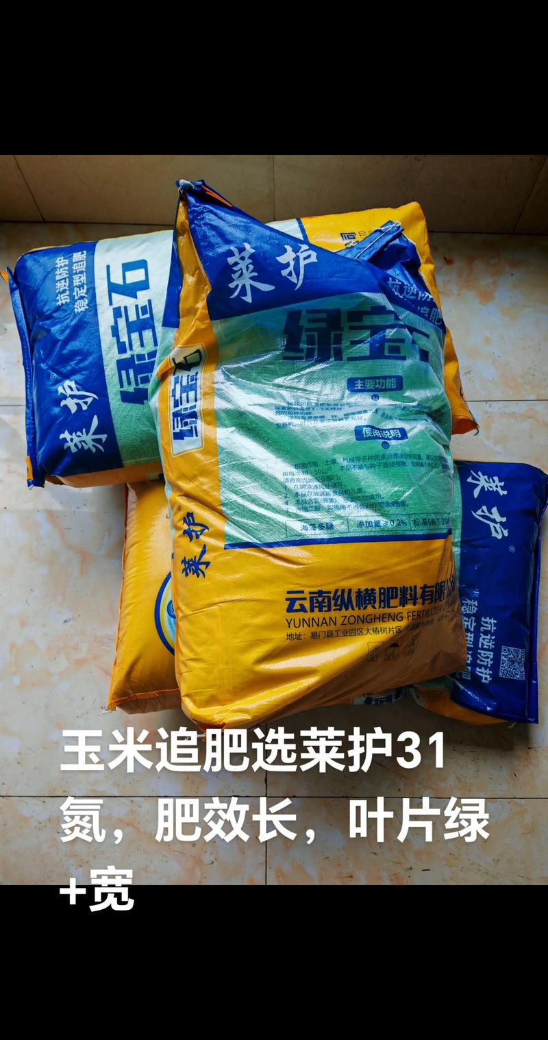 家庭菜园玉米养护全指南：从浇水到施肥的实用技巧
