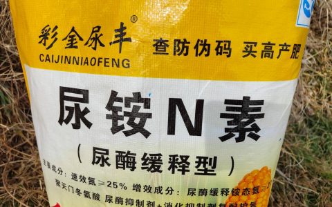 哪种氮肥最易引起土壤板结？家庭园艺施肥避坑指南