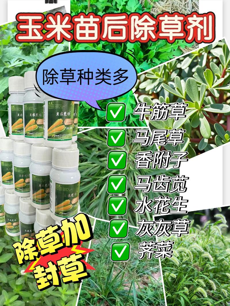 三、 安全性与风险控制（重要）