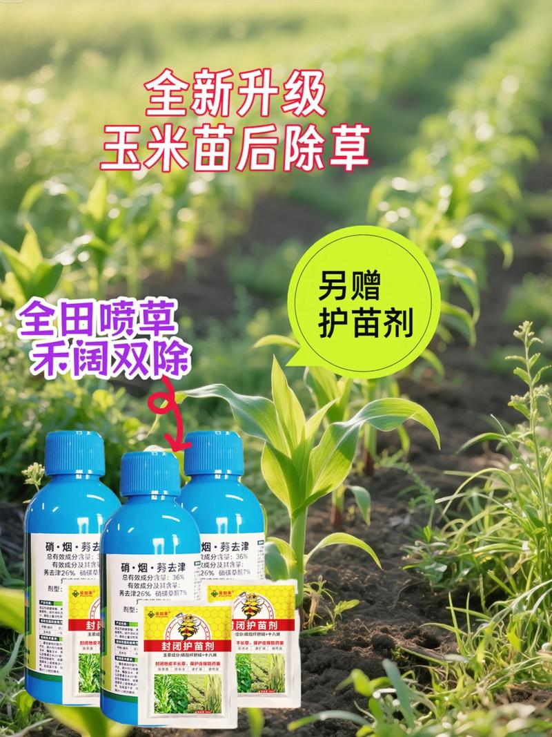 二、 科学施药操作步骤