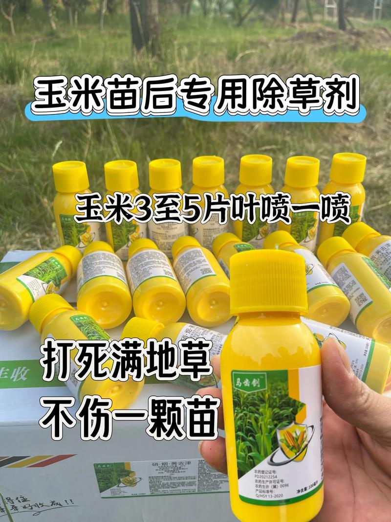 五、 常见问题解答（FAQ）