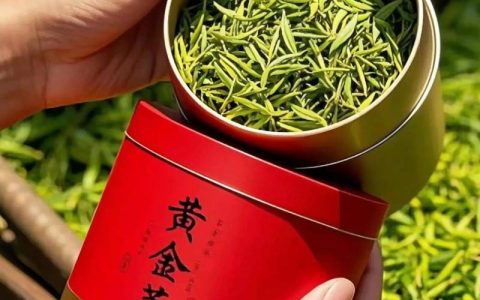 黄金芽是哪里产的？揭秘“氨基酸之王”的产地与选购