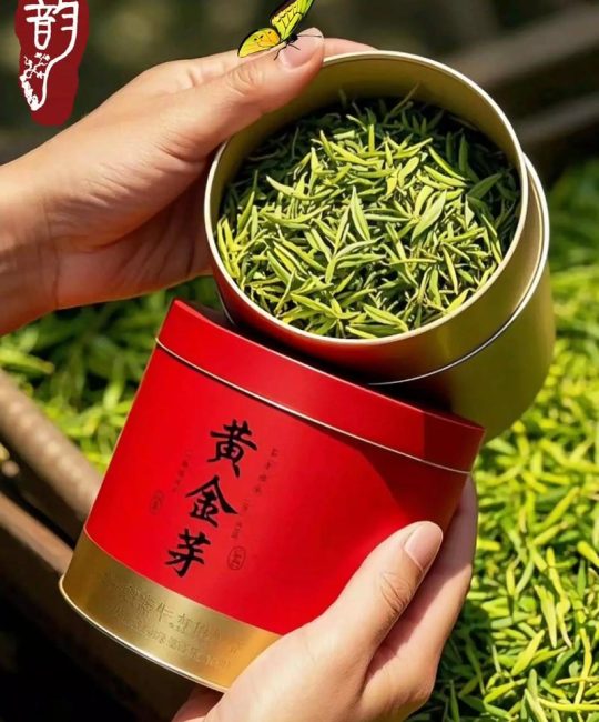 黄金芽是哪里产的？揭秘“氨基酸之王”的产地与选购