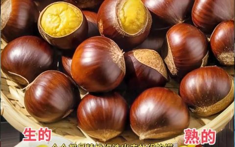 板栗种植10大禁忌与高效管理指南（2026版）