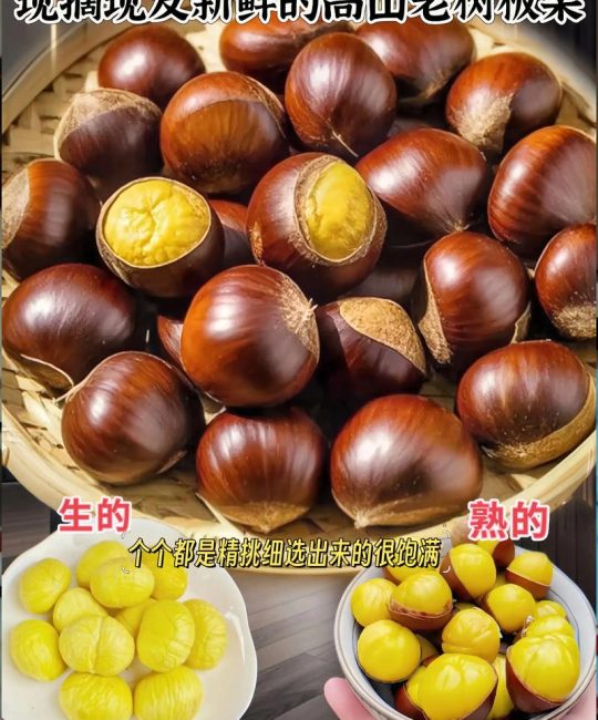 板栗种植10大禁忌与高效管理指南（2026版）
