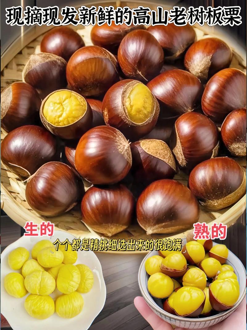 板栗种植10大禁忌与高效管理指南（2026版）