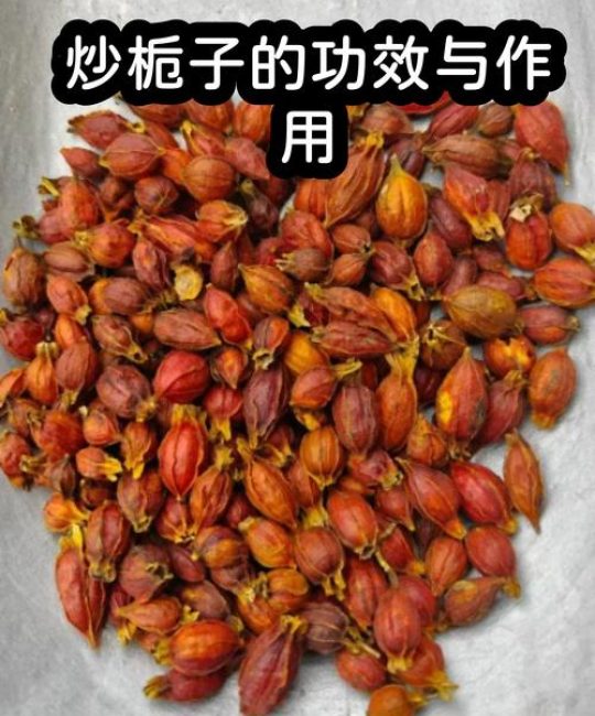 栀子花有什么作用？全面解析其药用、食用价值及安全禁忌